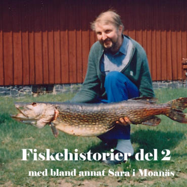 #3 Fiskehistorier del 2 av 2