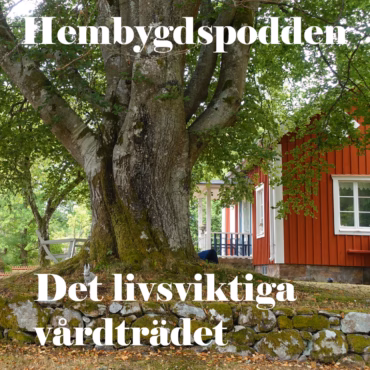 #29 Det Livsviktiga Vårdträdet