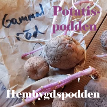#35 Potatispodden