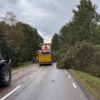 Träd över vägen vid Fiskeryd